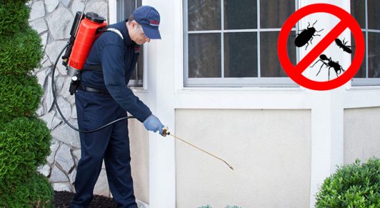 Örnekköy Böcek İlaçlama böcek ilaçlama ve haşere kontrolü — ilaclama-tr.com